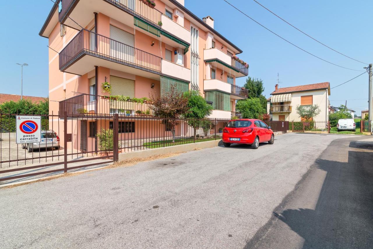 Terrace Flat * Padova